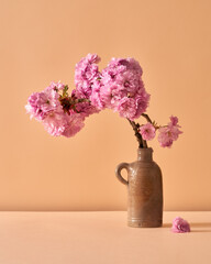 Spring concept - pink japanese cherry flowers on pastel orange background