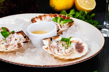 Ceviche. Finely chopped raw squid marinated in lemon juice served in seashell.