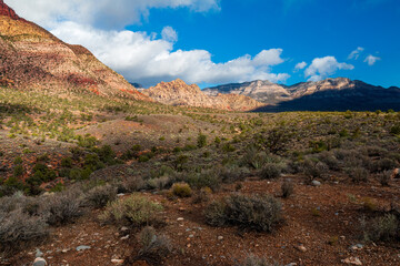 Red Rock Canyon Late Morning Sun on Bridge Mountain La Madre Mountain Range Wilderness and White Rock Hills from Pine Creek Canyon Trailhead