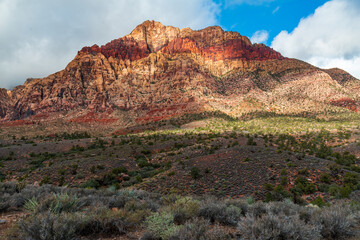 Red Rock Canyon Late Morning Sun on Bridge Mountain, Juniper Peak, Rainbow Wall, Rainbow Mountain, Mt Wilson with Mojave Yuccas and Buckhorn Cholla Cactus from Pine Creek Canyon Trailhead