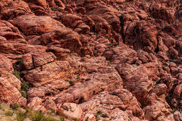 Sunny Morning Wall of Aztec Sandstone Calico Hills Red Rock Canyon from Calico 1 Overlook