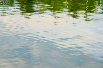 Water reflections. Semi-abstract representation of trees, sky, and clouds in the reflections seen on surface water. Copy space.