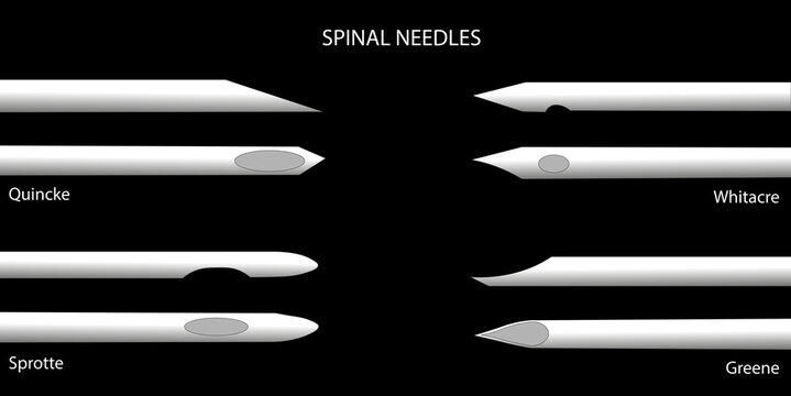 Spinal Needle. Different types of spinal needles side profile view.  