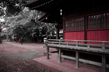 神社でお参りを終えたサラリーマン