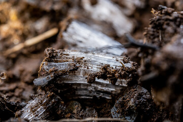 Layers of Mud And Needle Ice