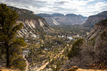 Naklejka premium Looking Out Over Zion National Park on the east side
