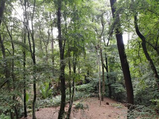 Fototapeta premium created by dji camera