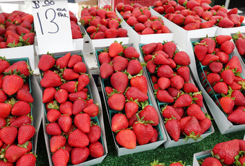 fresh strawberries 