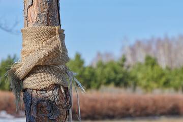 against the background of the mountains a tree wrapped