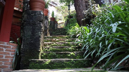 avandaro
