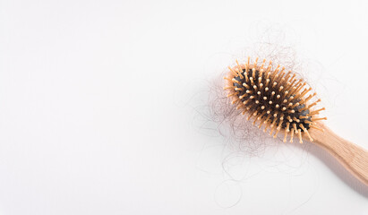 Healthcare problem concept. Hair loss or hair fall in comb on white background.