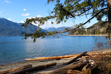 Fototapeta na wymiar Gorgeous Beach Mountain View with Trees in Beautiful British Columbia