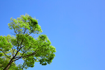 大阪ビジネスパーク　2021年　初夏