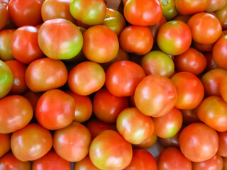 Tomates