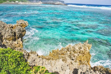 沖縄県　宮古島　イムギャーマリンガーデン