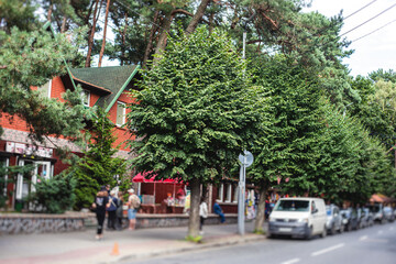 Fototapeta premium View of Svetlogorsk, former german Rauschen, coastal resort town, Svetlogorsky District, Kaliningrad Oblast, Russia, Baltic Sea coast, with scenery beyond the city and sea