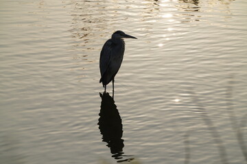 2020_Winter trails,Korea to Gyeongpo