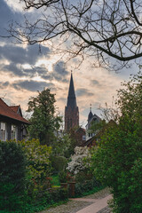 St.Martin Kirche in Nienburg
