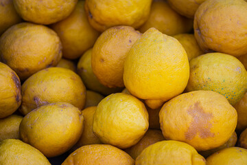 Close up of the yellow lemon  ,  background. Fresh lemons variety grown in the shop.
