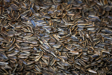 Roasted organic sunflower seeds on a pile. organic sunflower seed for background use