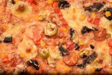 Obraz na płótnie Canvas homemade pizza with olives and cheese, detail