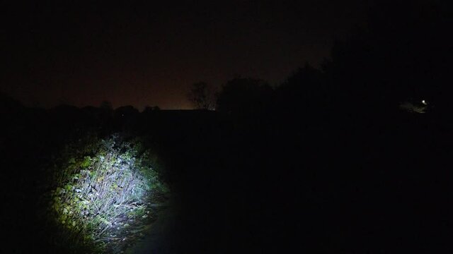 Searching For Missing Persons Girls Women Men Boys At Night Along Trail Path In Forest