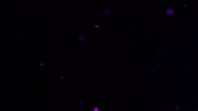 Purple flashes of bokeh for film overlay and special effects. 4k.