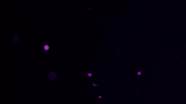Slow flickering purple bokeh balls for film overlay and special effects. 4k.