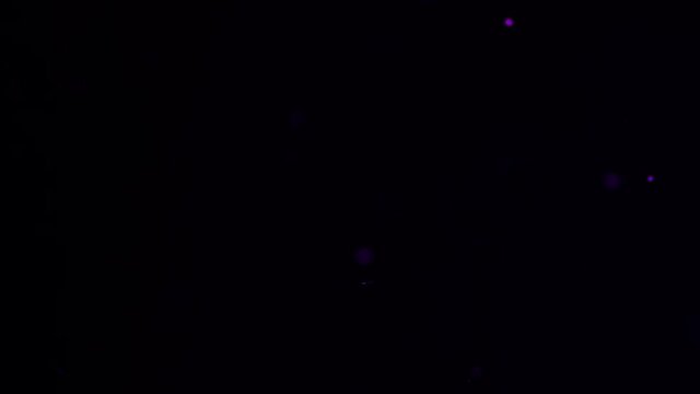 Thin and subtle purple bokeh balls floating for film overlay.