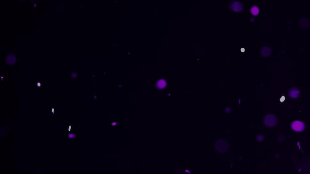 A flurry of purple sparkles an bokeh balls for film overlay and special effects.  4k.