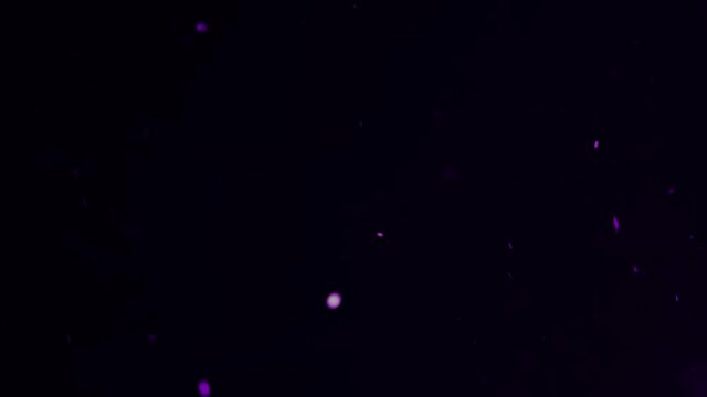 Dancing purple bokeh balls for film overlay and special effects.