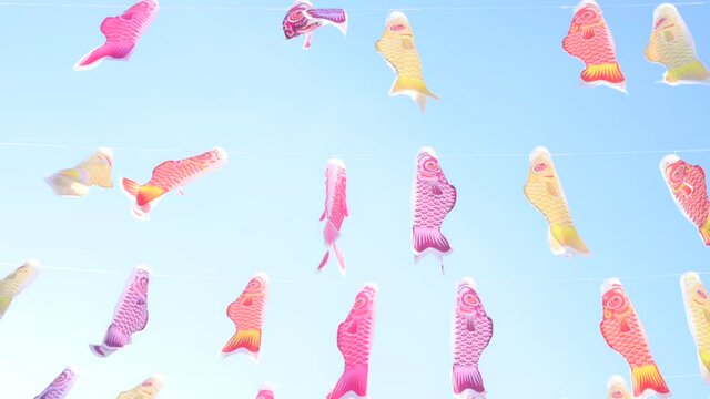 Colourful carp streamers or Koinobori flutter in the wind.