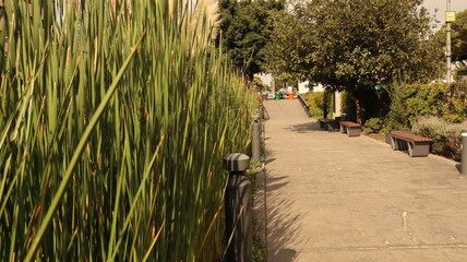 ecoducto