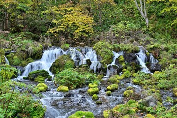 豊富な湧水が湧き出る公園＠羊蹄山、北海道