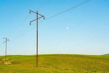 Fototapeta na wymiar Power poles on a green meadow
