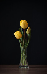 Yellow tulips in a transparent vase.