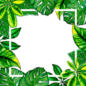Square freame with watercolor leaves of tropical plants. Copyspace tropical leaves border design template
