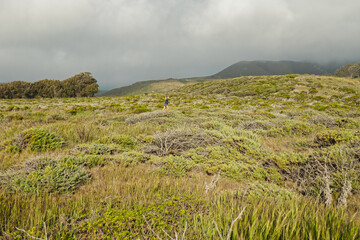 Obraz premium Hiking trail in Montana de Oro State Park. California landscape, native plants, green hills, and cloudy sky background
