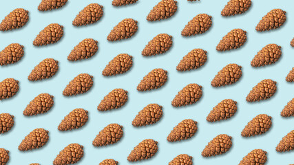 pine cones background. Top view