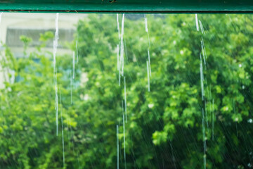 The day was heavy rain, the weather was overcast. Rainwater dripping from the roof