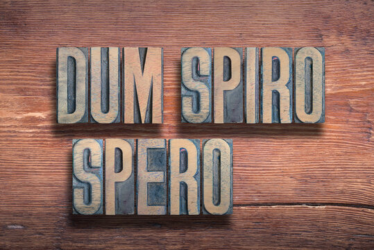 Dum spiro spero wood