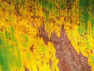 rusty metal background