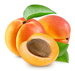 Apricot isolated on white background
