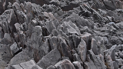Close-up view of bizarre, grey colored volcanic rock formation at Djúpalónssandur beach on the west coast of Snæfellsnes peninsula, Iceland. Focus on center.