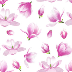Pink Magnolia flower blossom illustration seamless pattern on white