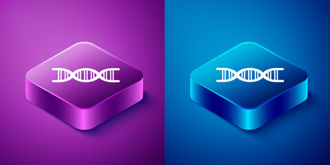 Isometric DNA symbol icon isolated on blue and purple background. Square button. Vector