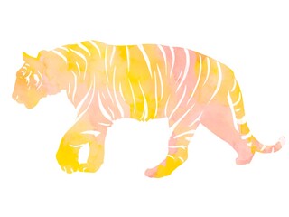 Tiger illustration watercolor 虎の水彩イラスト