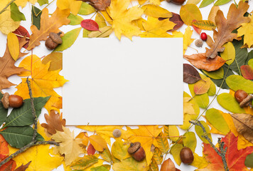 Blank card and autumn leaves on white background