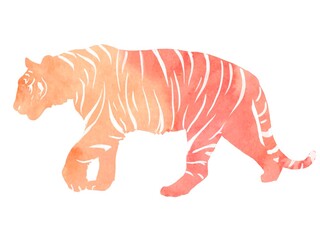 Tiger illustration watercolor 虎の水彩イラスト