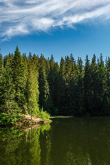 lake near coniferous forest and mountains on a nice summer day. Lake Synevir..